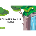 Quizuri despre mediu pentru elevi